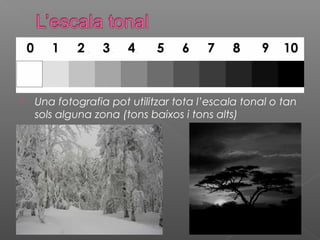    Una fotografia pot utilitzar tota l’escala tonal o tan
    sols alguna zona (tons baixos i tons alts)
 