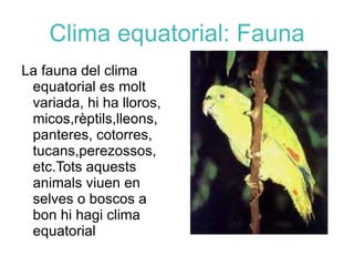 Clima equatorial: Vegetació El bosc semiombròfil es propi de regions en les quals les precipitacions són menys abundants. 