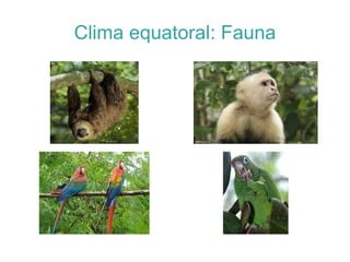 Durant aquesta època part de la vegetació perd el seu full. 