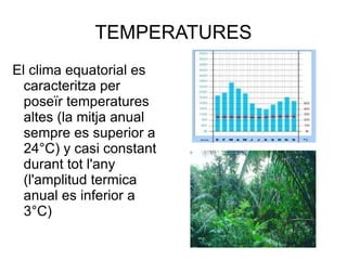 TEMPERATURES El clima equatorial es caracteritza per poseïr temperatures altes (la mitja anual sempre es superior a 24 °C) y casi constant durant tot l'any (l'amplitud termica anual es inferior a 3°C)  