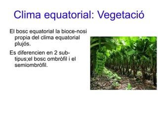 Clima equatorial: Vegetació El bosc equatorial la bioce-nosi propia del clima equatorial plujós. 