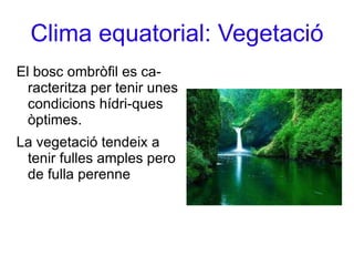 Es diferencien en 2 sub-tipus;el bosc ombròfil i el semiombròfil. 