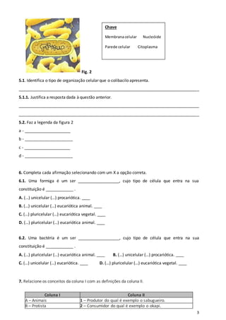 3
Fig. 2
5.1. Identifica o tipo de organização celular que o colibacilo apresenta.
_______________________________________________________________________________
5.1.1. Justifica a resposta dada à questão anterior.
_______________________________________________________________________________
_______________________________________________________________________________
5.2. Faz a legenda da figura 2
a - ____________________
b - _____________________
c - ____________________
d - _____________________
6. Completa cada afirmação selecionando com um X a opção correta.
6.1. Uma formiga é um ser __________________, cujo tipo de célula que entra na sua
constituição é ____________ .
A. (…) unicelular (…) procariótica. ____
B. (…) unicelular (…) eucariótica animal. ____
C. (…) pluricelular (…) eucariótica vegetal. ____
D. (…) pluricelular (…) eucariótica animal. ____
6.2. Uma bactéria é um ser __________________, cujo tipo de célula que entra na sua
constituição é ____________ .
A. (…) pluricelular (…) eucariótica animal. ____ B. (…) unicelular (…) procariótica. ____
C. (…) unicelular (…) eucariótica. ____ D. (…) pluricelular (…) eucariótica vegetal. ____
7. Relacione os conceitos da coluna I com as definições da coluna II.
Coluna I Coluna II
A – Animais 1 – Produtor do qual é exemplo o sabugueiro.
B – Protista 2 – Consumidor do qual é exemplo o okapi.
Chave
Membranacelular Nucleóide
Parede celular Citoplasma
 
