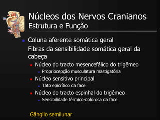  Coluna aferente somática geral
Fibras da sensibilidade somática geral da
cabeça
 Núcleo do tracto mesencefálico do trigêmeo
 Propriocepção musculatura mastigatória
 Núcleo sensitivo principal
 Tato epicrítico da face
 Núcleo do tracto espinhal do trigêmeo
 Sensibilidade térmico-dolorosa da face
Gânglio semilunar
Núcleos dos Nervos Cranianos
Estrutura e Função
 
