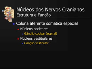  Coluna aferente somática especial
 Núcleos cocleares
 Gânglio coclear (espiral)
 Núcleos vestibulares
 Gânglio vestibular
Núcleos dos Nervos Cranianos
Estrutura e Função
 