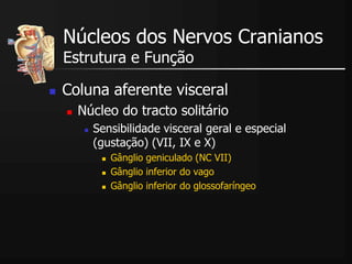  Coluna aferente visceral
 Núcleo do tracto solitário
 Sensibilidade visceral geral e especial
(gustação) (VII, IX e X)
 Gânglio geniculado (NC VII)
 Gânglio inferior do vago
 Gânglio inferior do glossofaríngeo
Núcleos dos Nervos Cranianos
Estrutura e Função
 