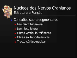  Conexões supra-segmentares
 Lemnisco trigeminal
 Lemnisco lateral
 Fibras vestíbulo-talâmicas
 Fibras solitário-talâmicas
 Tracto córtico-nuclear
Núcleos dos Nervos Cranianos
Estrutura e Função
 