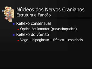  Reflexo consensual
 Óptico-óculomotor (parassimpático)
 Reflexo do vômito
 Vago – hipoglosso – frênico – espinhais
Núcleos dos Nervos Cranianos
Estrutura e Função
 