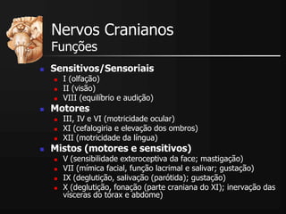 Nervos Cranianos
Funções
 Sensitivos/Sensoriais
 I (olfação)
 II (visão)
 VIII (equilíbrio e audição)
 Motores
 III, IV e VI (motricidade ocular)
 XI (cefalogiria e elevação dos ombros)
 XII (motricidade da língua)
 Mistos (motores e sensitivos)
 V (sensibilidade exteroceptiva da face; mastigação)
 VII (mímica facial, função lacrimal e salivar; gustação)
 IX (deglutição, salivação (parótida); gustação)
 X (deglutição, fonação (parte craniana do XI); inervação das
vísceras do tórax e abdome)
 