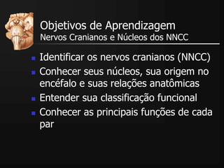 Objetivos de Aprendizagem
Nervos Cranianos e Núcleos dos NNCC
 Identificar os nervos cranianos (NNCC)
 Conhecer seus núcleos, sua origem no
encéfalo e suas relações anatômicas
 Entender sua classificação funcional
 Conhecer as principais funções de cada
par
 