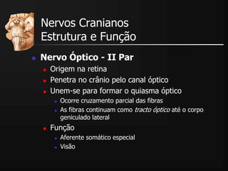  Nervo Óptico - II Par
 Origem na retina
 Penetra no crânio pelo canal óptico
 Unem-se para formar o quiasma óptico
 Ocorre cruzamento parcial das fibras
 As fibras continuam como tracto óptico até o corpo
geniculado lateral
 Função
 Aferente somático especial
 Visão
Nervos Cranianos
Estrutura e Função
 