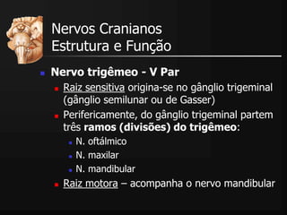  Nervo trigêmeo - V Par
 Raiz sensitiva origina-se no gânglio trigeminal
(gânglio semilunar ou de Gasser)
 Perifericamente, do gânglio trigeminal partem
três ramos (divisões) do trigêmeo:
 N. oftálmico
 N. maxilar
 N. mandibular
 Raiz motora – acompanha o nervo mandibular
Nervos Cranianos
Estrutura e Função
 