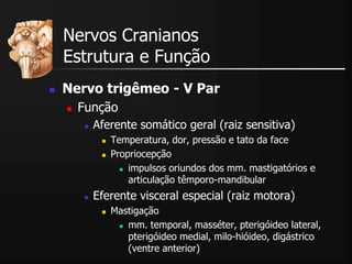  Nervo trigêmeo - V Par
 Função
 Aferente somático geral (raiz sensitiva)
 Temperatura, dor, pressão e tato da face
 Propriocepção
 impulsos oriundos dos mm. mastigatórios e
articulação têmporo-mandibular
 Eferente visceral especial (raiz motora)
 Mastigação
 mm. temporal, masséter, pterigóideo lateral,
pterigóideo medial, milo-hióideo, digástrico
(ventre anterior)
Nervos Cranianos
Estrutura e Função
 