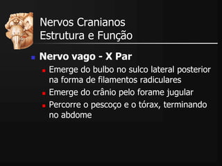  Nervo vago - X Par
 Emerge do bulbo no sulco lateral posterior
na forma de filamentos radiculares
 Emerge do crânio pelo forame jugular
 Percorre o pescoço e o tórax, terminando
no abdome
Nervos Cranianos
Estrutura e Função
 
