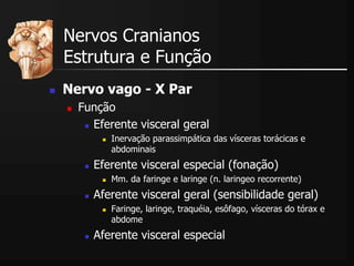  Nervo vago - X Par
 Função
 Eferente visceral geral
 Inervação parassimpática das vísceras torácicas e
abdominais
 Eferente visceral especial (fonação)
 Mm. da faringe e laringe (n. laringeo recorrente)
 Aferente visceral geral (sensibilidade geral)
 Faringe, laringe, traquéia, esôfago, vísceras do tórax e
abdome
 Aferente visceral especial
Nervos Cranianos
Estrutura e Função
 