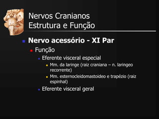  Nervo acessório - XI Par
 Função
 Eferente visceral especial
 Mm. da laringe (raiz craniana – n. laringeo
recorrente)
 Mm. esternocleidomastoideo e trapézio (raiz
espinhal)
 Eferente visceral geral
Nervos Cranianos
Estrutura e Função
 