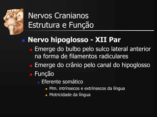  Nervo hipoglosso - XII Par
 Emerge do bulbo pelo sulco lateral anterior
na forma de filamentos radiculares
 Emerge do crânio pelo canal do hipoglosso
 Função
 Eferente somático
 Mm. intrínsecos e extrínsecos da língua
 Motricidade da língua
Nervos Cranianos
Estrutura e Função
 