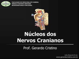 Núcleos dos
Nervos Cranianos
Prof. Gerardo Cristino
Aula disponível em:
www.gerardocristino.com.br
FACULDADE DE MEDICINA/UFC-SOBRAL
MÓDULO SISTEMA NERVOSO
NEUROANATOMIA FUNCIONAL
 