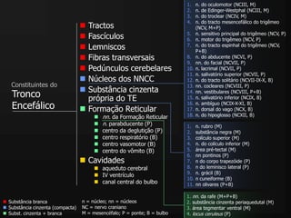 Tronco
Encefálico
1. n. do oculomotor (NCIII, M)
2. n. de Edinger-Westphal (NCIII, M)
3. n. do troclear (NCIV, M)
4. n. do tracto mesencefálico do trigêmeo
(NCV, M+P)
5. n. sensitivo principal do trigêmeo (NCV, P)
6. n. motor do trigêmeo (NCV, P)
7. n. do tracto espinhal do trigêmeo (NCV,
P+B)
8. n. do abducente (NCVI, P)
9. nn. do facial (NCVII, P)
10. n. lacrimal (NCVII, P)
11. n. salivatório superior (NCVII, P)
12. n. do tracto solitário (NCVII-IX-X, B)
13. nn. cocleares (NCVIII, P)
14. nn. vestibulares (NCVIII, P+B)
15. n. salivatório inferior (NCIX, B)
16. n. ambíguo (NCIX-X-XI, B)
17. n. dorsal do vago (NCX, B)
18. n. do hipoglosso (NCXII, B)
1. n. rubro (M)
2. substância negra (M)
3. colículo superior (M)
4. n. do colículo inferior (M)
5. área pré-tectal (M)
6. nn pontinos (P)
7. n do corpo trapezóide (P)
8. n do leminisco lateral (P)
9. n. grácil (B)
10. n cuneiforme (B)
11. nn olivares (P+B)
1. nn. da rafe (M+P+B)
2. substância cinzenta periaquedutal (M)
3. área tegmentar ventral (M)
4. locus ceruleus (P)
 Tractos
 Fascículos
 Lemniscos
 Fibras transversais
 Pedúnculos cerebelares
 Núcleos dos NNCC
 Substância cinzenta
própria do TE
 Formação Reticular
 nn. da Formação Reticular
 n. parabducente (P)
 centro da deglutição (P)
 centro respiratório (B)
 centro vasomotor (B)
 centro do vômito (B)
 Cavidades
 aqueduto cerebral
 IV ventrículo
 canal central do bulbo
 Substância branca
 Substância cinzenta (compacta)
 Subst. cinzenta + branca
n = núcleo; nn = núcleos
NC = nervo craniano
M = mesencéfalo; P = ponte; B = bulbo
Constituintes do
 