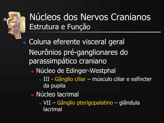 Coluna eferente visceral geral
Neurônios pré-ganglionares do
parassimpático craniano
 Núcleo de Edinger-Westphal
 III - Gânglio ciliar – músculo ciliar e esfíncter
da pupila
 Núcleo lacrimal
 VII – Gânglio pterígopalatino – glândula
lacrimal
Núcleos dos Nervos Cranianos
Estrutura e Função
 