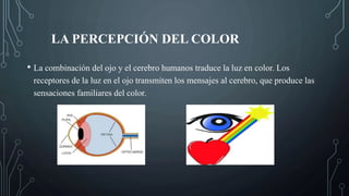 LA PERCEPCIÓN DEL COLOR
• La combinación del ojo y el cerebro humanos traduce la luz en color. Los
receptores de la luz en el ojo transmiten los mensajes al cerebro, que produce las
sensaciones familiares del color.
 