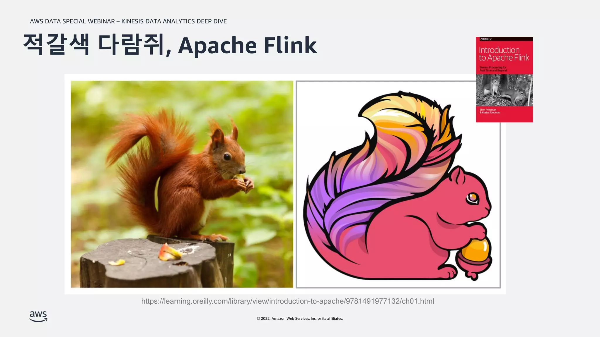 AWS DATA SPECIAL WEBINAR – KINESIS DATA ANALYTICS DEEP DIVE
© 2022, Amazon Web Services, Inc. or its affiliates.
적갈색 다람쥐, Apache Flink
https://learning.oreilly.com/library/view/introduction-to-apache/9781491977132/ch01.html
 