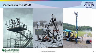 © 2025 Oak Ridge National Laboratory
Cameras in the Wild!
20
 