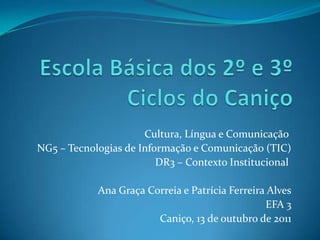 Cultura, Língua e Comunicação
NG5 – Tecnologias de Informação e Comunicação (TIC)
                         DR3 – Contexto Institucional

            Ana Graça Correia e Patrícia Ferreira Alves
                                                 EFA 3
                        Caniço, 13 de outubro de 2011
 