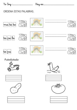 Yo Soy :……………………………………………… Hoy es:……………………………………………………………………….
ORDENA ESTAS PALABRAS.
ma te to
ta pe lo
to pa
Autodictado