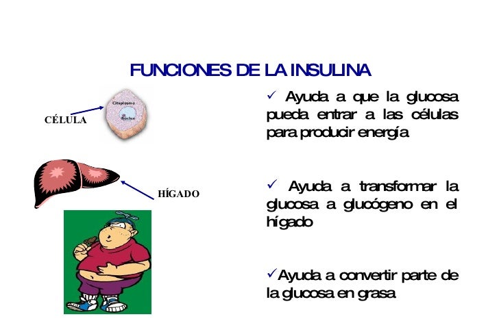 T3 A Diabetes Mellitus T3 A Diabetes Mellitus