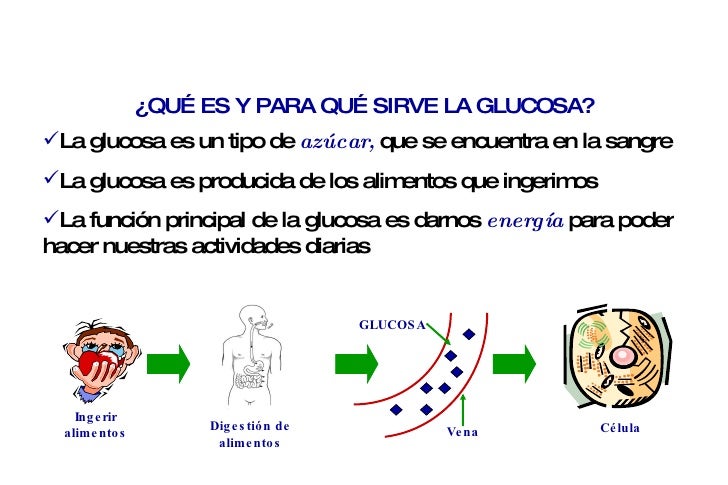 T3 A Diabetes Mellitus T3 A Diabetes Mellitus