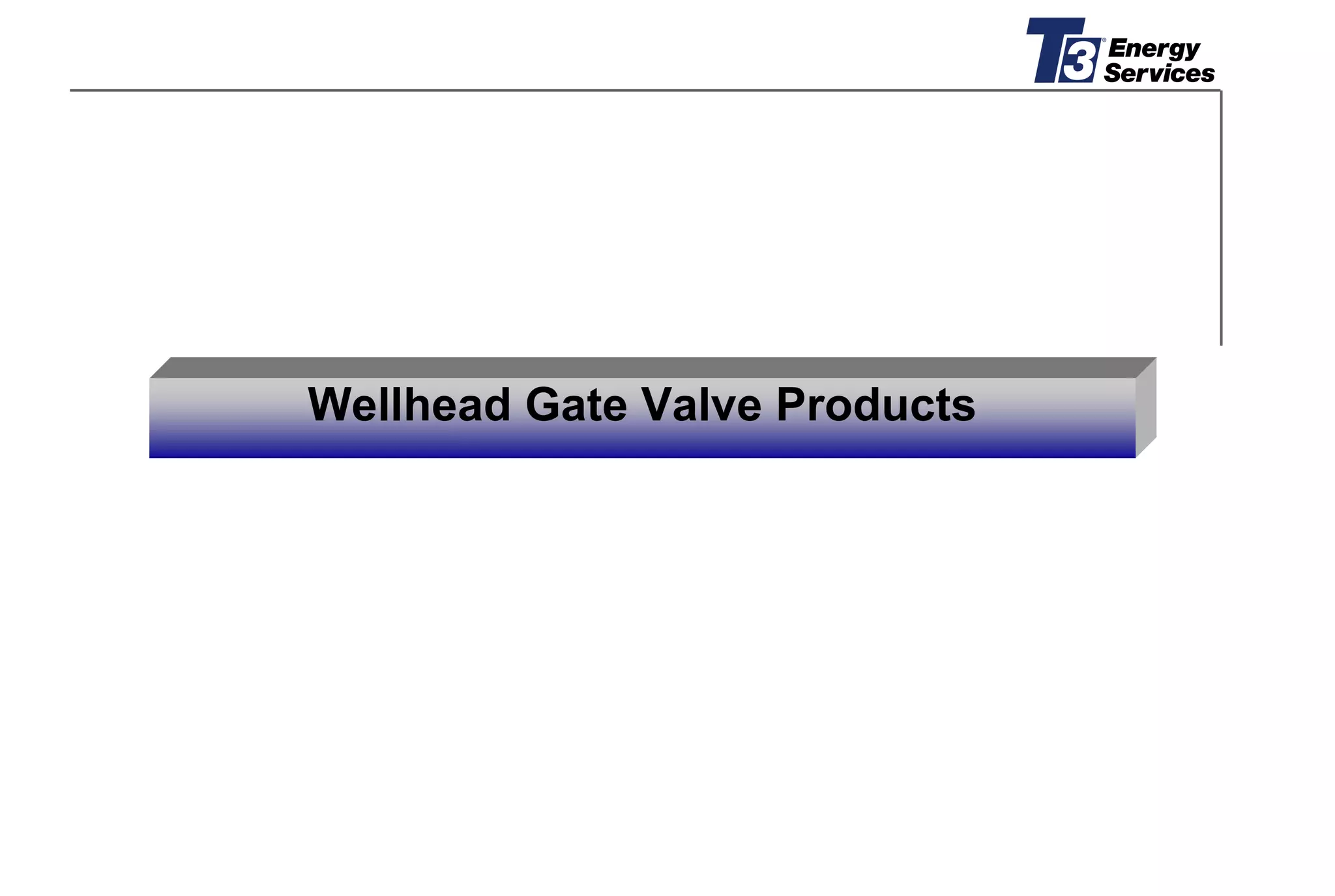 T3 EUROPEAN PRESENTATION