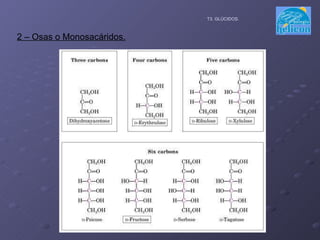2 – Osas o Monosacáridos. T3. GLÚCIDOS. 