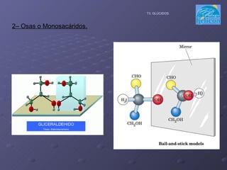 2– Osas o Monosacáridos. T3. GLÚCIDOS. 