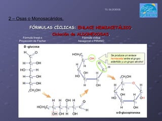 FÓRMULAS CÍCLICAS:  ENLACE HEMIACETÁLICO . Ciclación de ALDOHEXOSAS . 2 – Osas o Monosacáridos. T3. GLÚCIDOS. Fórmula lineal o Proyección de Fischer Fórmula cíclica hexagonal o PIRANO α -D-glucopiranosa 