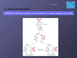 2 – Osas o Monosacáridos. T3. GLÚCIDOS. NOMENCLATURA: tipo anómero + tipo enantiómero + nombre molécula + tipo anillo 