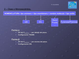 Forma  α OH del C anomérico  -> por debajo del plano. Configuración TRANS. Forma  β OH del C anomérico  -> por encima del plano. Configuración CIS. 2 – Osas o Monosacáridos. T3. GLÚCIDOS. NOMENCLATURA: tipo anómero + tipo enantiómero + nombre molécula + tipo anillo α / β D/L Furanosa/Piranosa Gluco Fructo … 