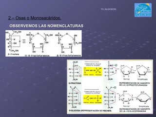 OBSERVEMOS LAS NOMENCLATURAS 2 – Osas o Monosacáridos. T3. GLÚCIDOS. 