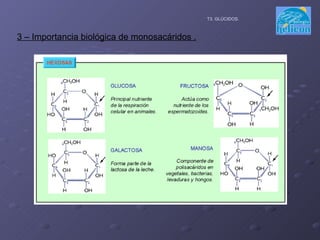 T3. GLÚCIDOS. 3 – Importancia biológica de monosacáridos . 