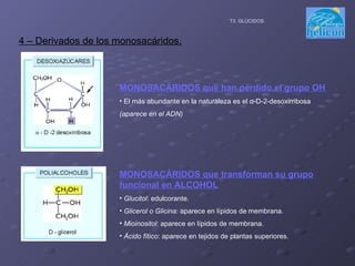 T3. GLÚCIDOS. 4 – Derivados de los monosacáridos. MONOSACÁRIDOS que transforman su grupo funcional en ALCOHOL Glucitol : edulcorante. Glicerol o Glicina : aparece en lípidos de membrana. Mioinositol : aparece en lípidos de membrana. Ácido fítico : aparece en tejidos de plantas superiores.   MONOSACÁRIDOS que han perdido el grupo OH El más abundante en la naturaleza es el  α -D-2-desoxirribosa  (aparece en el ADN) 