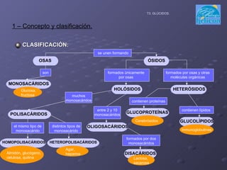 CLASIFICACIÓN: T3. GLÚCIDOS. 1 – Concepto y clasificación. se unen formando son OSAS ÓSIDOS formados únicamente por osas formados por osas y otras moléculas orgánicas MONOSACÁRIDOS HOLÓSIDOS HETERÓSIDOS Glucosa, fructosa contienen proteínas contienen lípidos Cerebrósidos GLUCOLÍPIDOS GLUCOPROTEÍNAS Inmunoglobulinas muchos monosacáridos entre 2 y 10 monosacáridos POLISACÁRIDOS OLIGOSACÁRIDOS formados por dos monosacáridos DISACÁRIDOS Lactosa, sacarosa distintos tipos de monosacárido el mismo tipo de monosacárido HETEROPOLISACÁRIDOS HOMOPOLISACÁRIDOS Agar, heparina Almidón, glucógeno, celulosa, quitina 