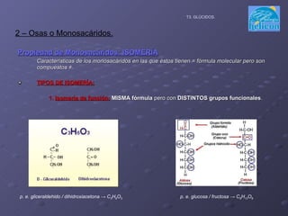 Propiedad de Monosacáridos: ISOMERÍA Características de los monosacáridos en las que éstos tienen = fórmula molecular pero son compuestos ≠. TIPOS DE ISOMERÍA: 1.  Isomería de función:  MISMA fórmula  pero con  DISTINTOS grupos funcionales . 2 – Osas o Monosacáridos. T3. GLÚCIDOS. p. e. gliceraldehido / dihidroxiacetona -> C 3 H 6 O 3 p. e. glucosa / fructosa -> C 6 H 12 O 6 