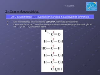 Este monosacárido se conoce como  GLUCOSA.  Nómbralo químicamente. La numeración de los  C  se realiza desde el extremo donde está el grupo funcional. ¿Es el  C1   un  C* ? ¿Y el  C4 ? ¿Encuentras algún  C* ? 2 – Osas o Monosacáridos. T3. GLÚCIDOS. Un C es asimétrico  (C*)  cuando tiene unidos 4 sustituyentes diferentes. 