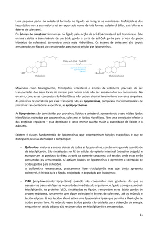 Uma pequena parte do colesterol formado no fígado vai integrar as membranas fosfolipídicas dos
hepatócitos mas a sua maioria vai ser exportado numa de três formas: colesterol biliar, sais biliares e
ésteres de colesterol.
Os ésteres de colesterol formam-se no fígado pela acção de acil-CoA-colesterol acil transferase. Este
enzima catalisa a transferência de um ácido gordo a partir de acil-CoA gordo para o local do grupo
hidróxido do colesterol, tornando-o ainda mais hidrofóbico. Os ésteres de colesterol são depois
armazenados no fígado ou transportados para outras células por lipoproteínas.

Moléculas como triacilgliceróis, fosfolípidos, colesterol e ésteres de colesterol precisam de ser
transportadas dos seus locais de síntese para locais onde vão ser armazenados ou consumidos. No
entanto, como estes compostos são hidrofóbicos não podem circular livremente na corrente sanguínea.
As proteínas responsáveis por esse transporte são as lipoproteínas, complexos macromoleculares de
proteínas transportadoras específicas, as apolipoproteínas.
As lipoproteínas são constituídas por proteínas, lípidos e colesterol, apresentando o seu núcleo lípidos
hidrofóbicos rodeados por apoproteínas, colesterol e lípidos hidrofílicos. Têm uma densidade inferior à
das proteínas regulares – essa densidade é tanto menor quanto maior a quantidade de lípidos e o
diâmetro.
Existem 4 classes fundamentais de lipoproteínas que desempenham funções específicas e que se
distinguem pela sua densidade e composição:
Quilomicra: maiores e menos densas de todas as lipoproteínas, contém uma grande quantidade
de triacilgliceróis. São sintetizadas no RE de células do epitélio intestinal (intestino delgado) e
transportam as gorduras da dieta, através da corrente sanguínea, até tecidos onde estas serão
consumidas ou armazenadas. Aí activam lipases de lipoproteínas e permitem a libertação de
ácidos gordos para os tecidos.
A quillomicra remaniscente, praticamente livre triacilgliceróis mas que ainda apresenta
colesterol, é levada para o fígado, endocitada e degradada por lisossomas;
VLDL (very-low-density lipoprotein): quando são consumidas mais gorduras do que as
necessárias para satisfazer as necessidades imediatas do organismo, o fígado começa a produzir
triacilgliceróis. As proteínas VLDL, sintetizadas no fígado, transportam esses ácidos gordos de
origem endógena, juntamente com algum colesterol e ésteres de colesterol, até ao músculo e
tecido adiposo. Já nos tecidos alvo é activa uma lipoproteína lipase que permite a libertação de
ácidos gordos livre. No músculo esses ácidos gordos são oxidados para obtenção de energia,
enquanto no tecido adiposo são reconvertidos em triacilgliceróis e armazenados.
11

 