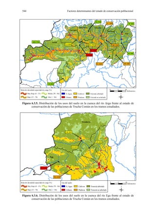 544                                                              Factores determinantes del estado de conservación poblacional



                                                                                                                  BA 1940
                                                                                                                                    UL 1620                           AR 1420

                                                                                        Basaburua                Ultzama
                                                                       Lar rau n
                                                                                                     !                                  Med iano           !
                                                                                                                                                                Arga
                                                                                                                          !

                                                                                  !                                                 !
                ARK 1760                                                                    !
                                              Arakil                                                                                                       !
                                                                 LA 1820                                                    !
                                                                                        !              BA 1930                                 ME 1520

                                        !
                                                                                                           UL 1625
                                                                                                                                                                      AR 1440
                                                                                                    LA 1830                                        !
                                                                                                                                         !



                                                                                                                     UL-1630                                   AR 1460




                                                       Ubagua


                                                             !


                                        UB 2065


Rela ción de nsidad-capacidad de c arga (%)                 Uso del sue lo                                                                0            5        10
                                                                                                                                                                     Kilóme tros



                                                                                                                                                       ­
         Muy B aja (0 - 35)             Media (70 - 86)           S. Agua              Cultivos            For estal a rbolado
         Baja (35 - 70)                 Alta ( > 86)              Urbano               Praderas            For estal no ar bolado


  Figura 6.3.5. Distribución de los usos del suelo en la cuenca del río Arga frente al estado de
         conservación de las poblaciones de Trucha Común en los tramos estudiados.




                                                                                                Urederra



                                                                  UR 2220


                                                                                            !
                                                                                            !
                                                                                                                   UR 2230


                                                                             UR 2225
                                                                                                      !




                                            Ega

                                                       !



                              EG-2120
                                                                        !



                                                  EG-2130


Rela ción de nsidad-capacidad de c arga (%)                 Uso del suelo                                                                  0           5         10
                                                                                                                                                                      Kilóme tros



                                                                                                                                                           ­
         Muy B aja (0 - 35)             Media (70 - 86)           S. Agua              Cultivos            Forestal arbolado
         Baja (35 - 70)                 Alta ( > 86)              Urbano               Praderas            Forestal no arbolado

  Figura 6.3.6. Distribución de los usos del suelo en la cuenca del río Ega frente al estado de
         conservación de las poblaciones de Trucha Común en los tramos estudiados.
 