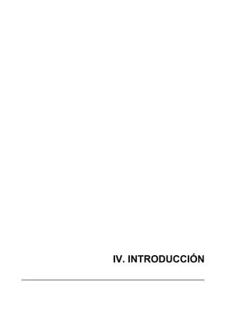 IV. INTRODUCCIÓN
 