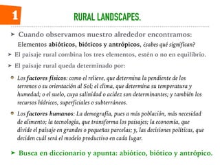 RURAL LANDSCAPES.
➤ Cuando observamos nuestro alrededor encontramos:
Los factores físicos: como el relieve, que determina ...