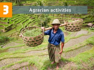 3 Agrarian activities
 