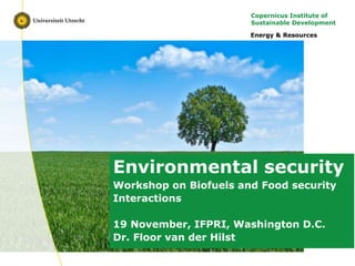 Copernicus Institute of Sustainable Development
Copernicus Institute of
Sustainable Development
Environmental security
Workshop on Biofuels and Food security
Interactions
19 November, IFPRI, Washington D.C.
Dr. Floor van der Hilst
Energy & Resources
 