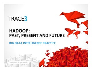 ©	
  2014	
  Trace3,	
  All	
  rights	
  reserved.	
  
BIG	
  DATA	
  INTELLIGENCE	
  PRACTICE	
  
HADOOP:	
  
PAST,	
  PRESENT	
  AND	
  FUTURE	
  
 